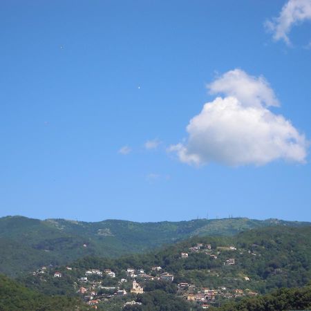 Genovese Villa Elena Appartamenti Varazze Zewnętrze zdjęcie